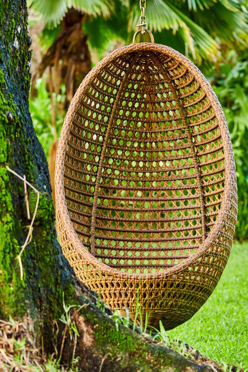 stay in the seychelles nature in seychelles