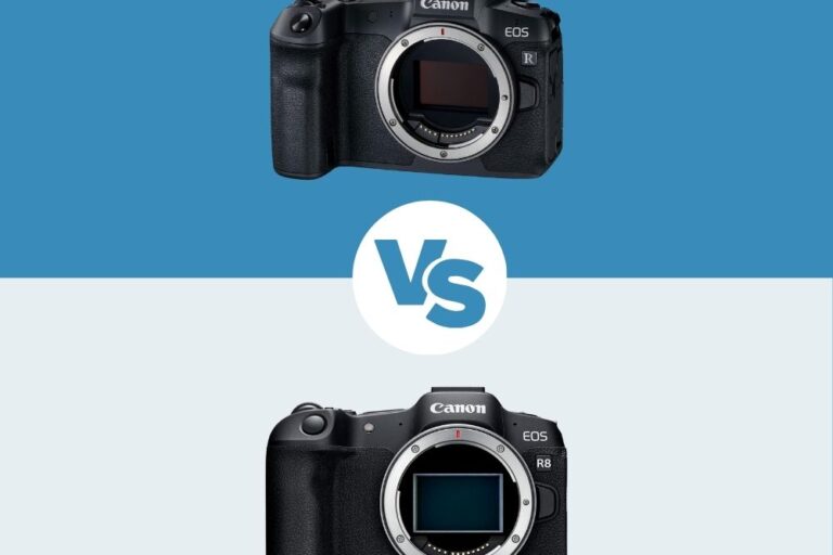 Canon R vs Canon R8 Canon R vs Canon R8 le comparatif