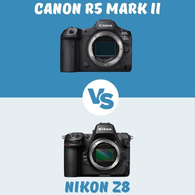 Canon R5 Mark II vs Nikon Z8 comparatif