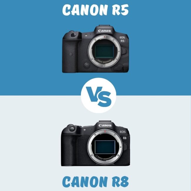 Canon R5 vs Canon R8 le comparatif
