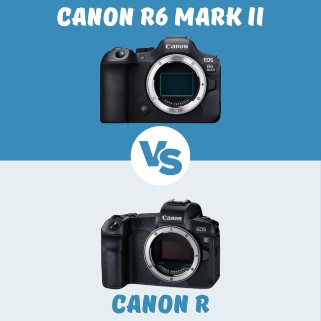 Canon R6 Mark II vs Canon R le comparatif