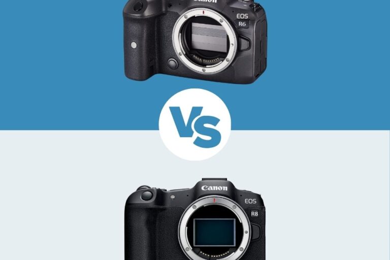 Canon R6 vs Canon R8 Canon R6 vs Canon R8 le comparatif