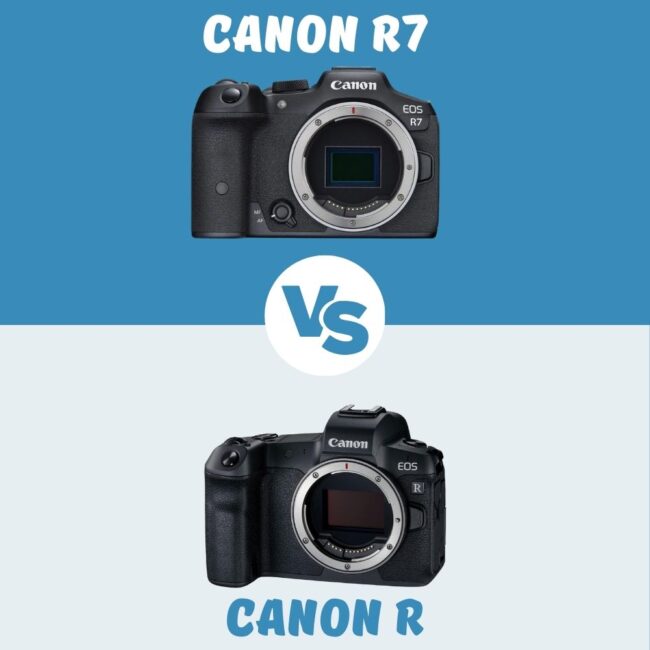 Canon R7 vs Canon R le comparatif
