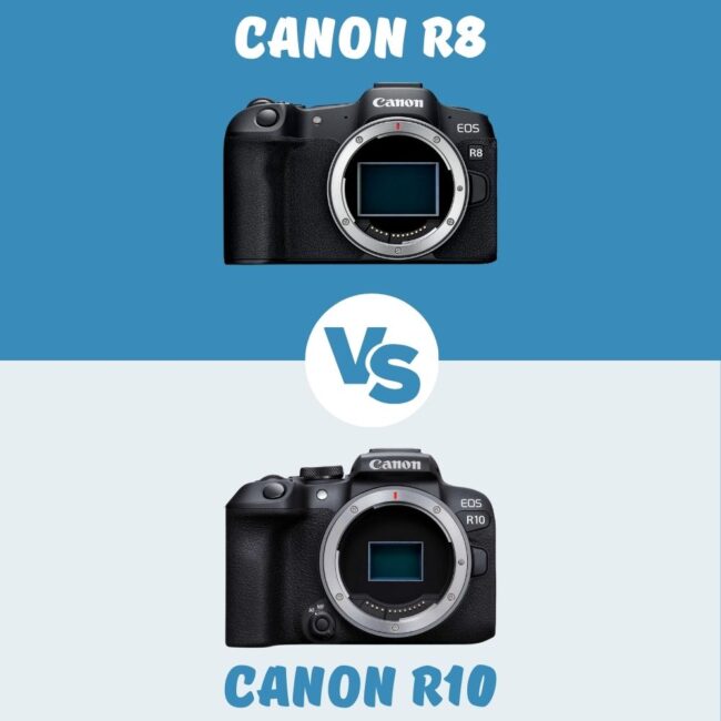 Canon R8 vs Canon R10 le comparatif