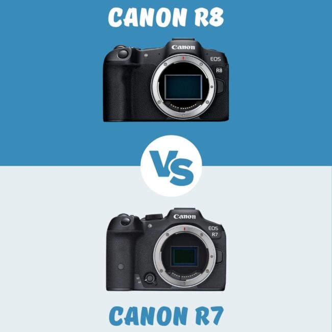 Canon R8 vs Canon R7 le comparatif