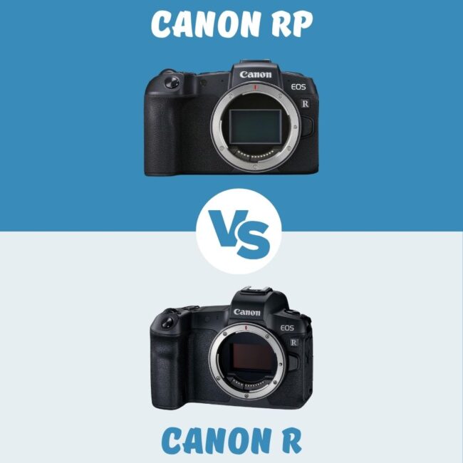 Canon RP vs Canon R le comparatif
