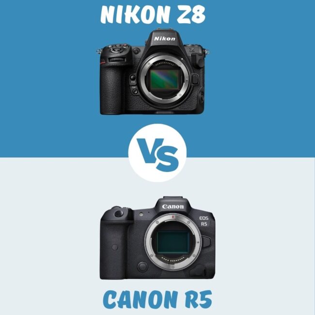 Nikon Z8 vs Canon R5 le comparatif
