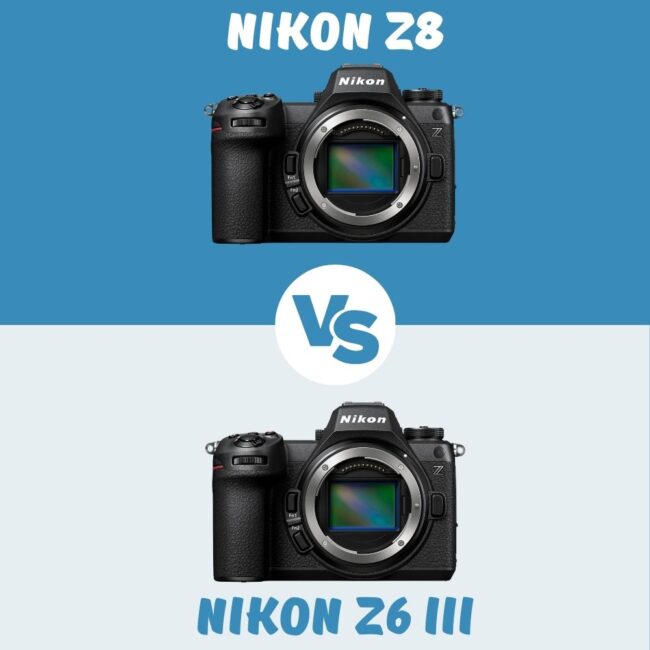 Nikon Z8 vs Nikon Z6 III vergleich