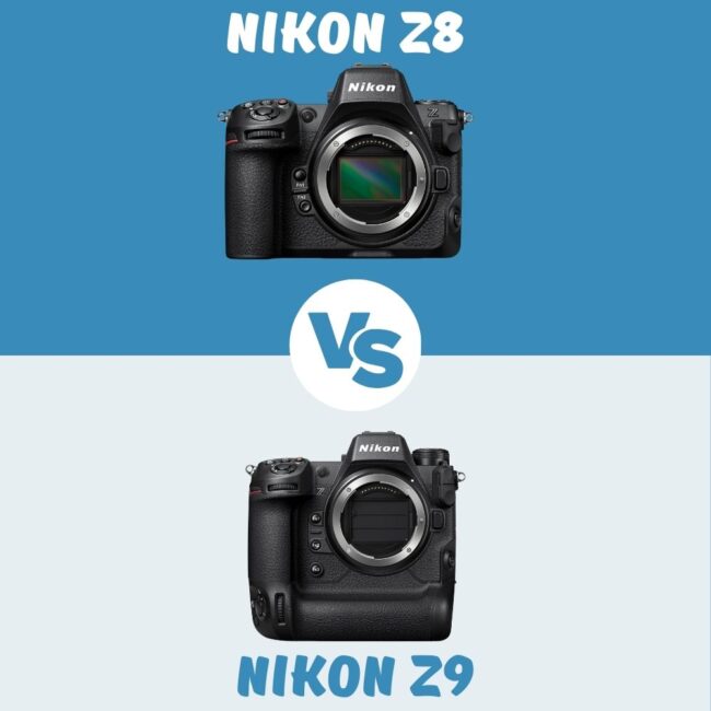 Nikon Z9 vs Nikon Z8 comparatif