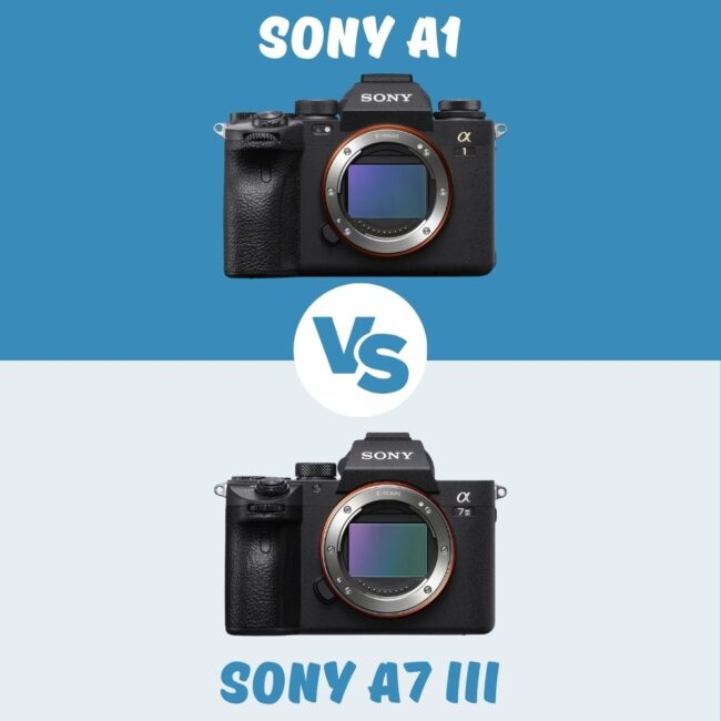Sony A1 vs Sony A7 III le comparatif