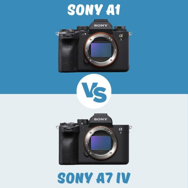 Sony A1 vs Sony A7 IV le comparatif