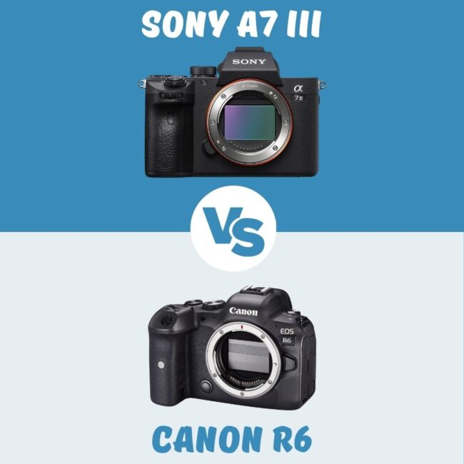 Sony A7 III vs Canon R6 vergleich