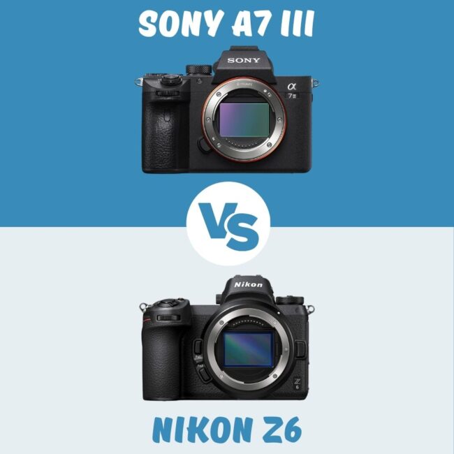 Sony A7 III vs Nikon Z6 vergleich