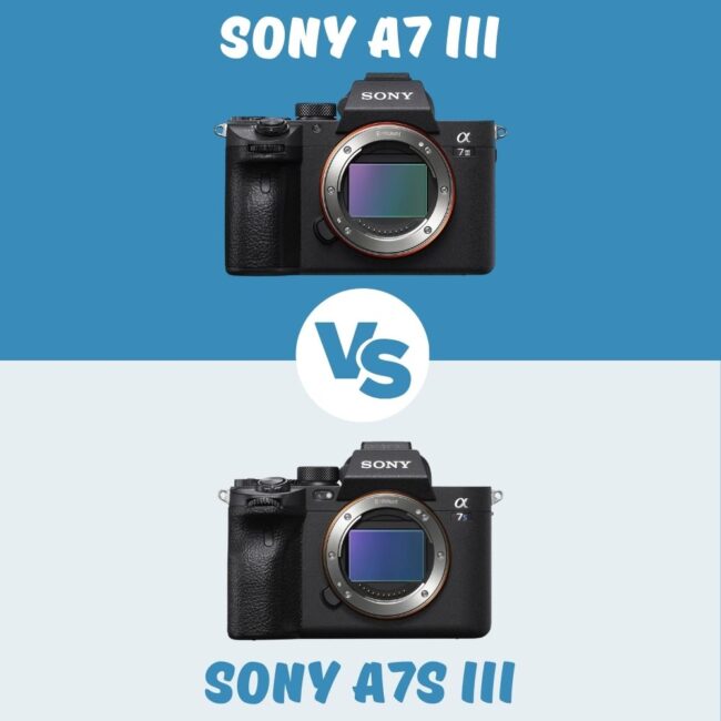 Sony A7 III vs Sony A7S III comparison