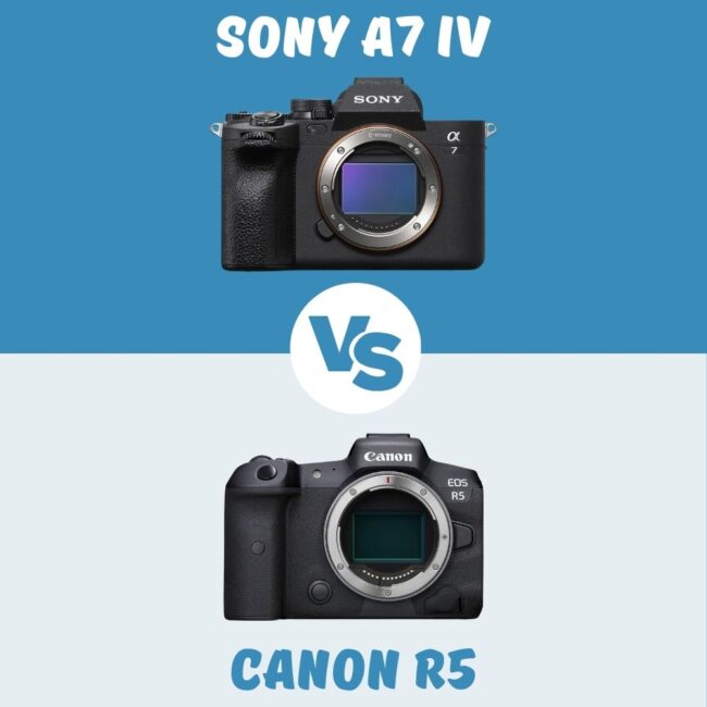 Sony A7 IV vs Canon R5 vergleich
