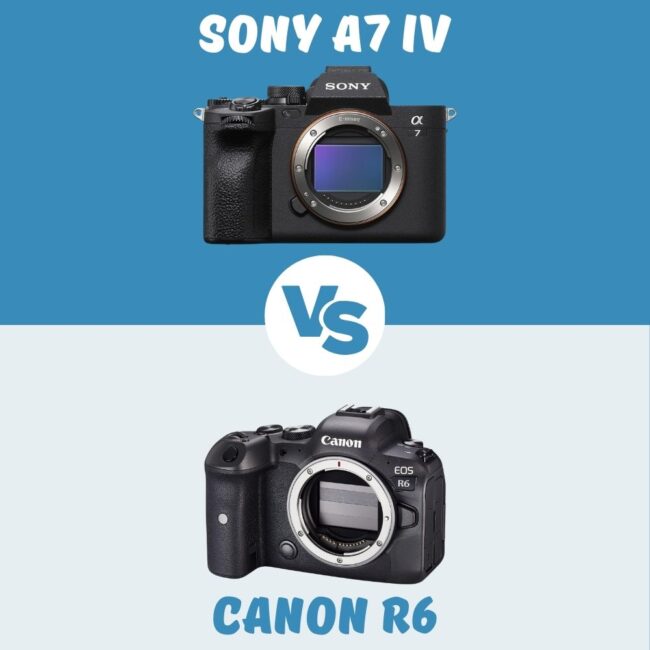 Sony A7 IV vs Canon R6 comparison