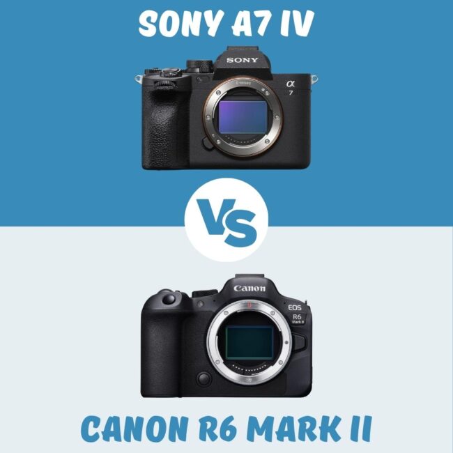 Sony A7 IV vs Canon R6 Mark II comparison