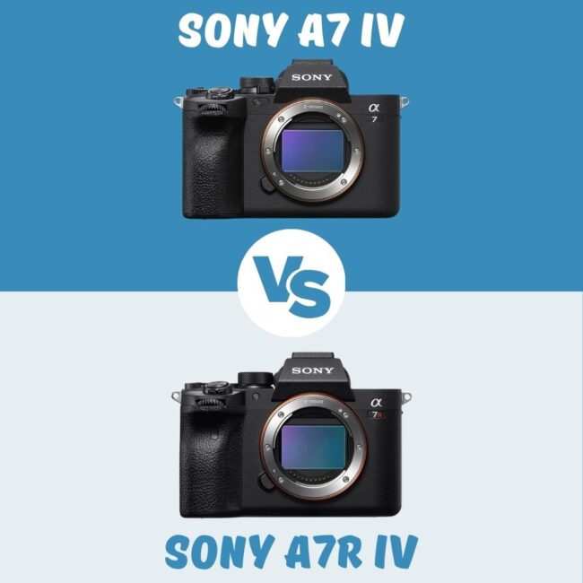 Sony A7 IV vs Sony A7R IV comparison