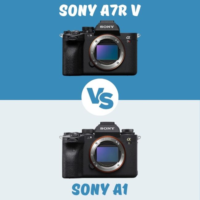 Sony A7R V vs Sony A1 comparison