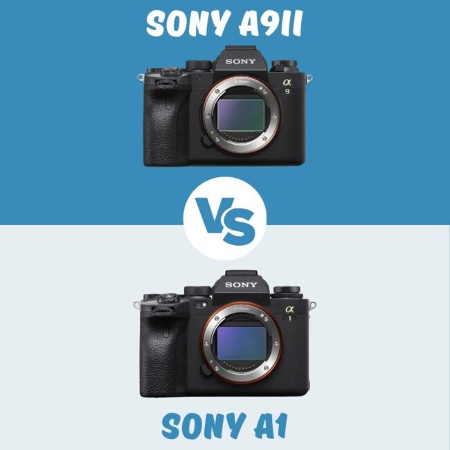 Sony A9ii vs Sony A1 le comparatif