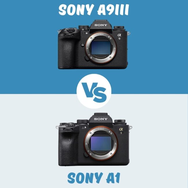 Sony A9iii vs Sony A1 le comparatif