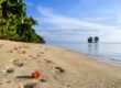 ile aux cerf