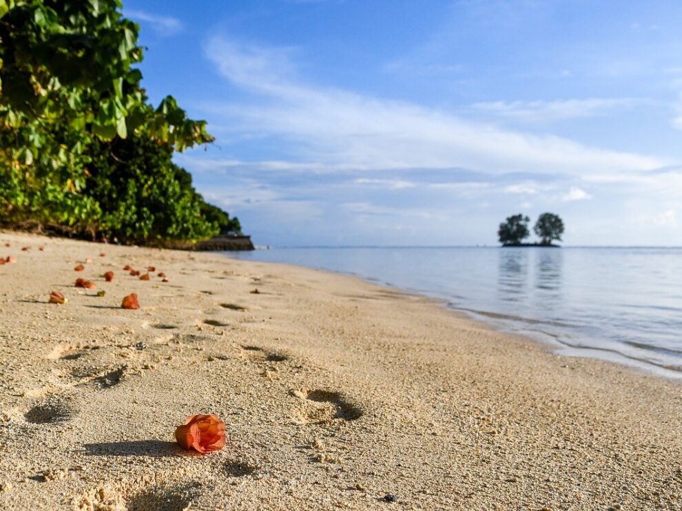 verf island erkunden cerf island