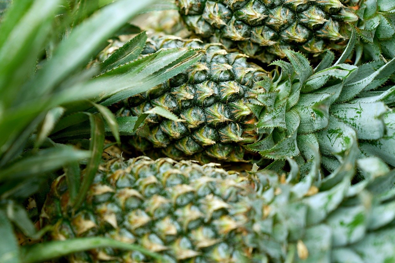 Seychellenfrucht tropische Ananas