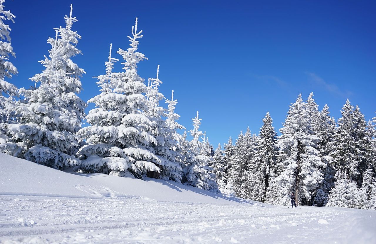 skier dans le saguenay paysages hiver saguenay
