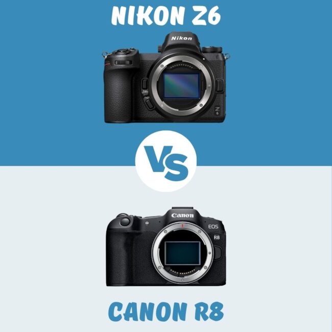 Nikon Z6 vs Canon R8 comparison