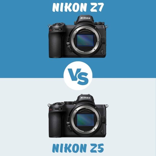 Nikon Z7 vs Nikon Z5 comparison