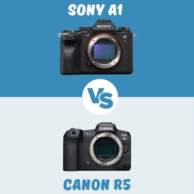 Sony A1 vs Canon R5 comparatif