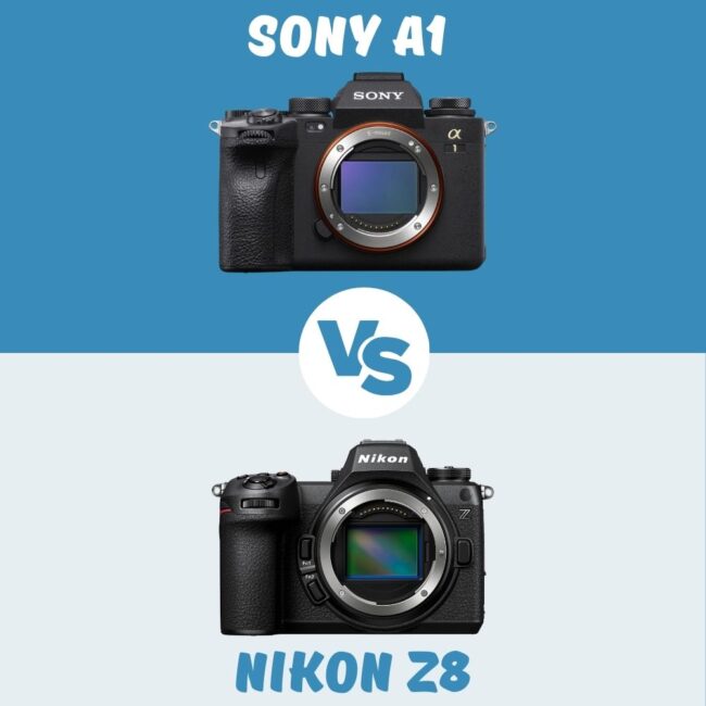 Sony A1 vs Nikon Z8 vergleich