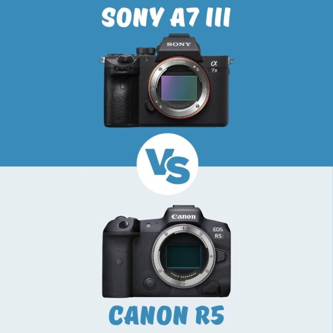 Sony A7 III vs Canon R5 vergleich