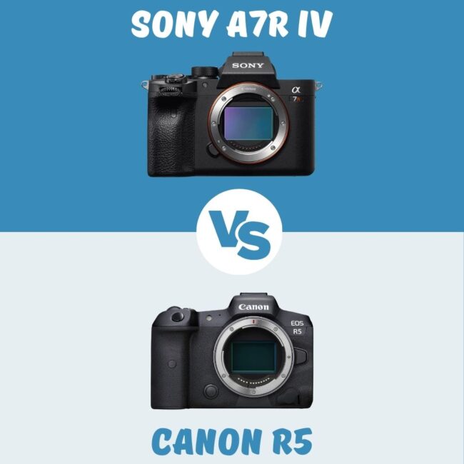 Sony A7R IV vs Canon R5 comparatif