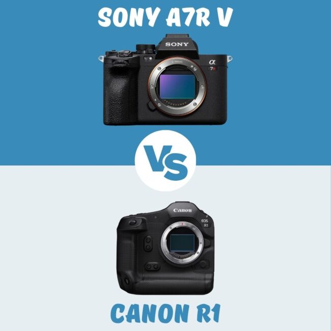 Sony A7R V vs Canon R1 comparatif