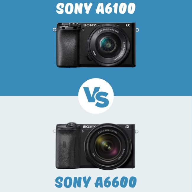 Sony a6100 vs Sony a6600 comparatif