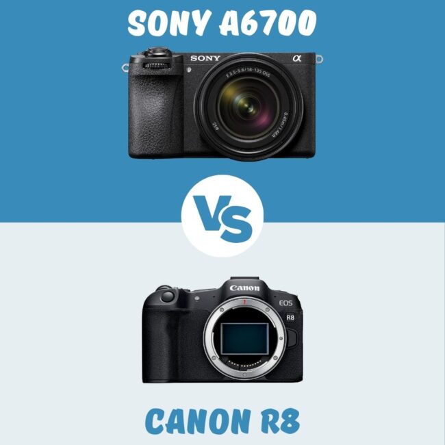 Sony a6700 vs Canon R8 comparatif