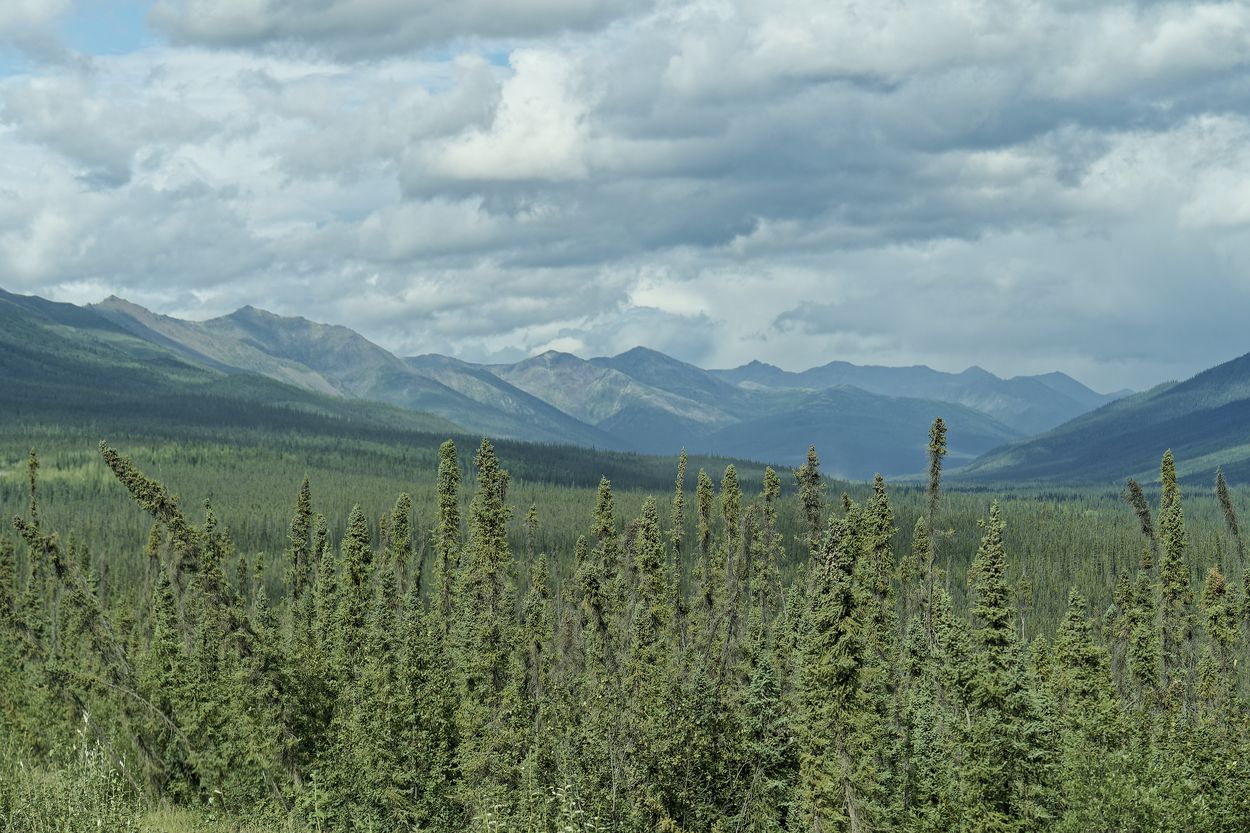 départ de la Dempster Highway vue à l'infini Dempster Highway