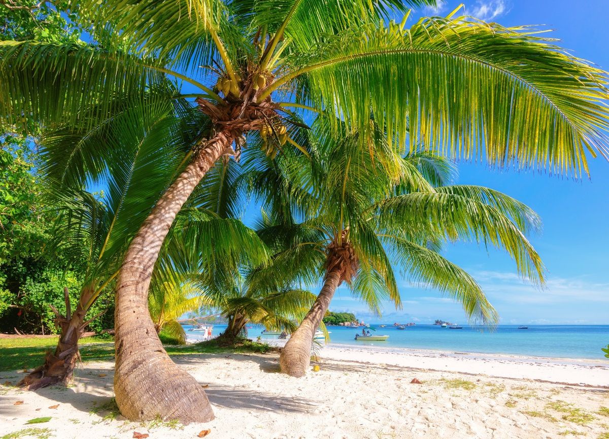 ile de praslin hotels seychelles dormir aux seychelles