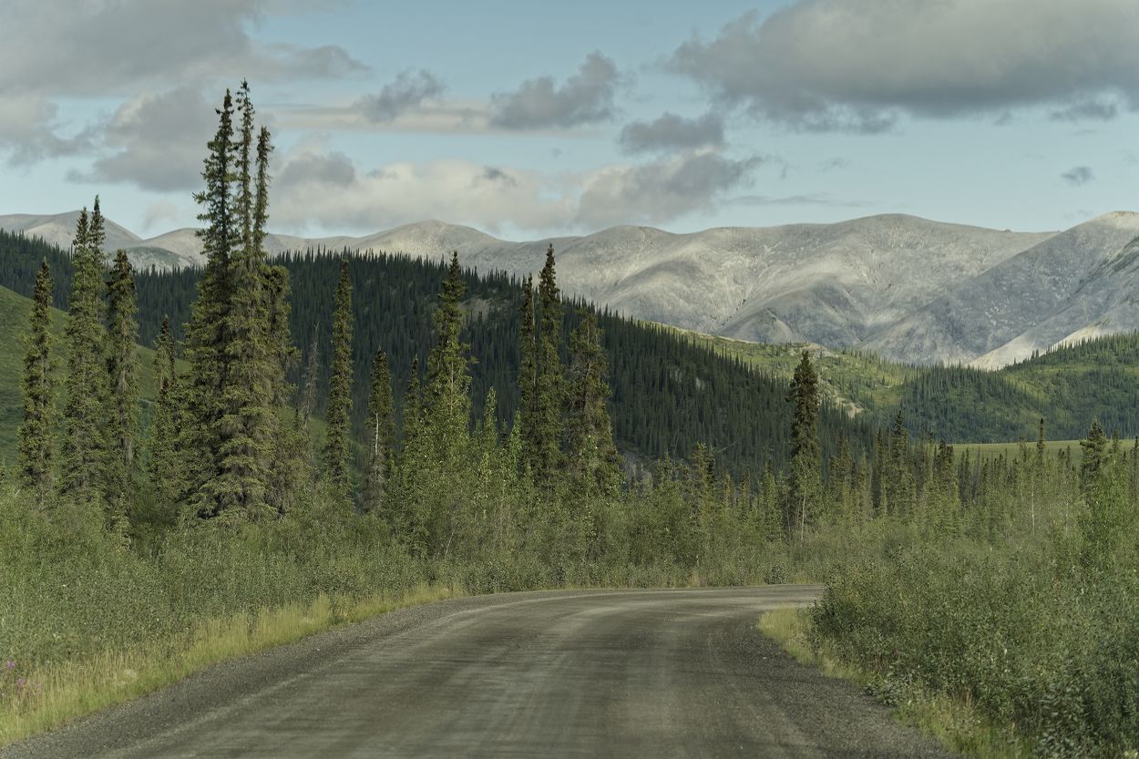 paysage du road trip road trip Dempster Highway