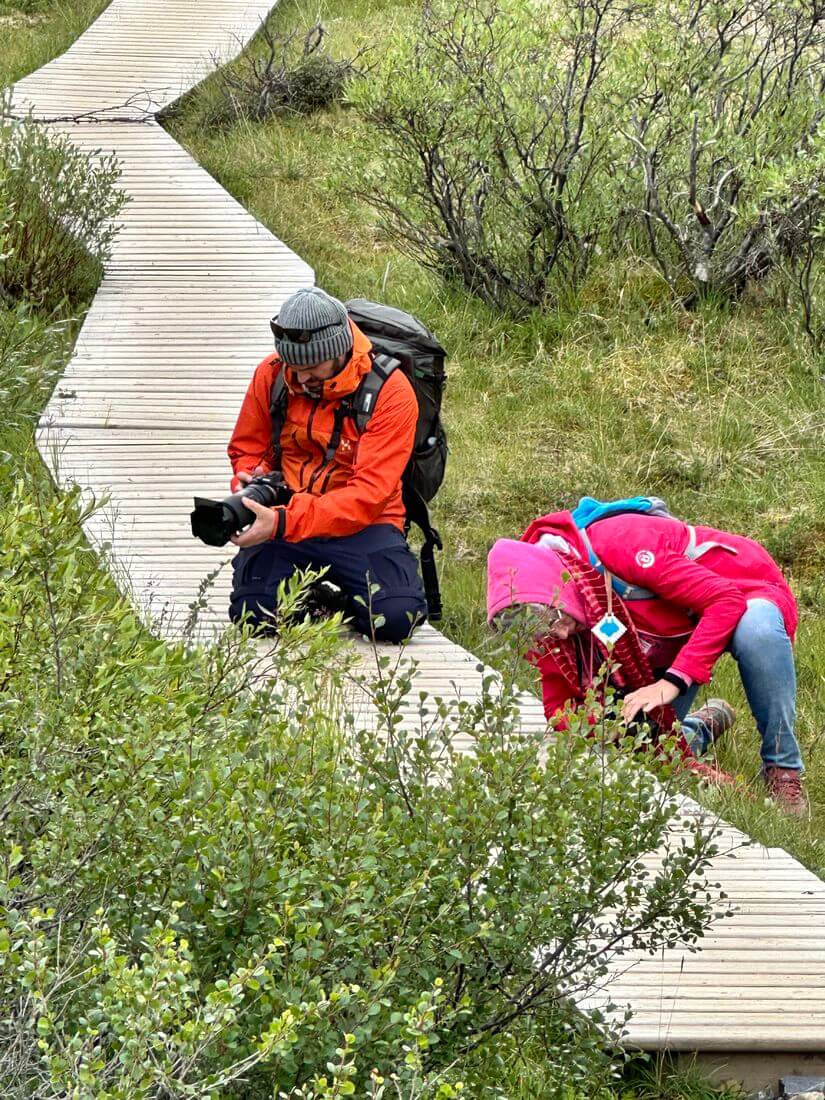 photo dans le parc de Tombstone La Dempster Highway est idéal pour les amateurs de photo de voyage