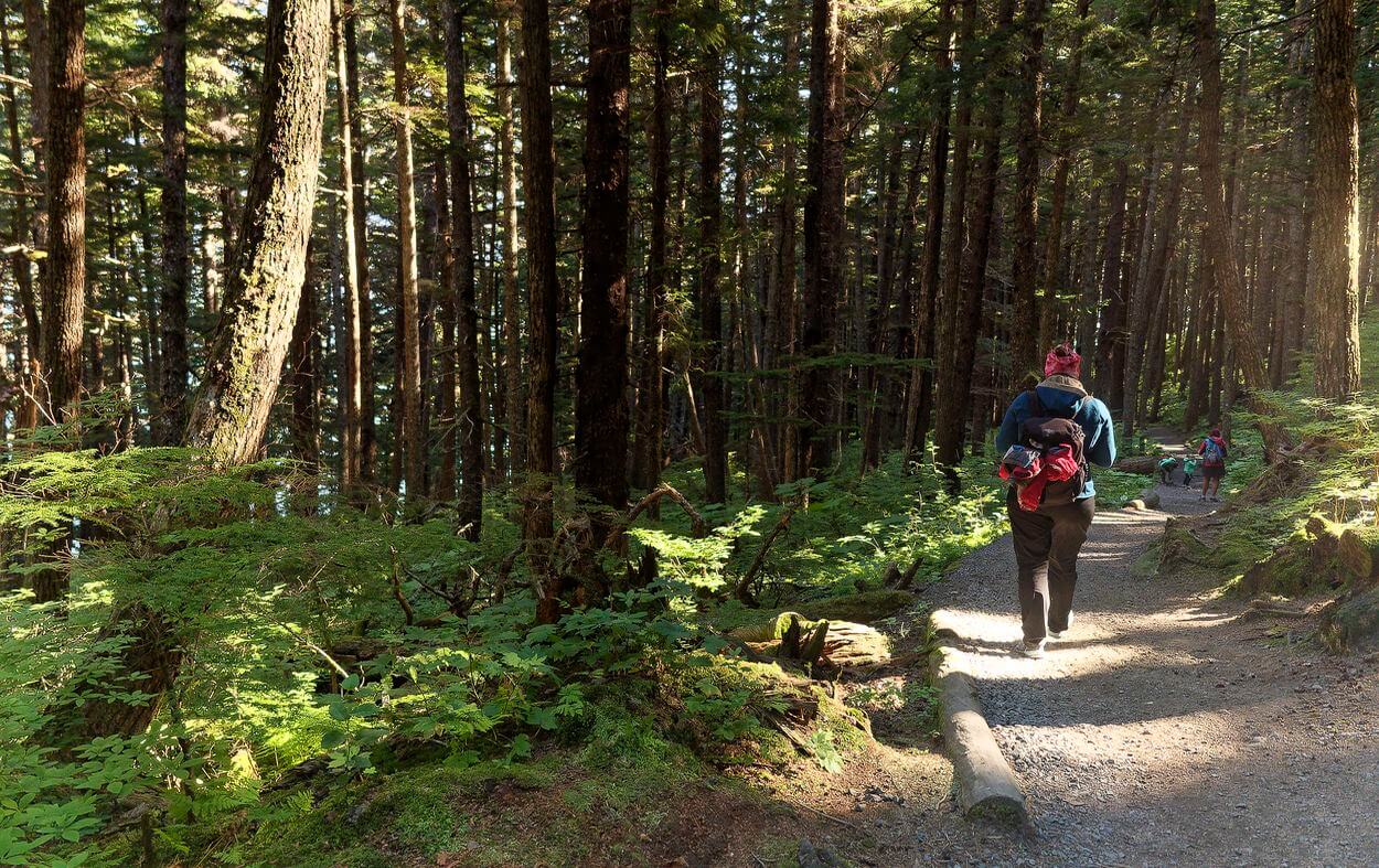Wandern in Haines wandern in haines alaska