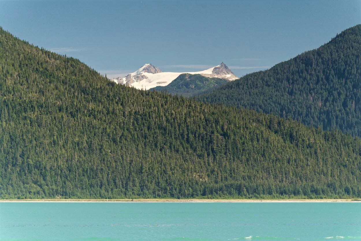 Blick auf den Glacier Battery Point Trail gletscher und berg