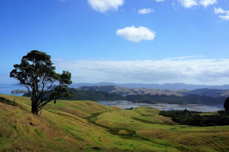 dormir sur la peninsule du coromandel peninsule du coromandel ou dormir