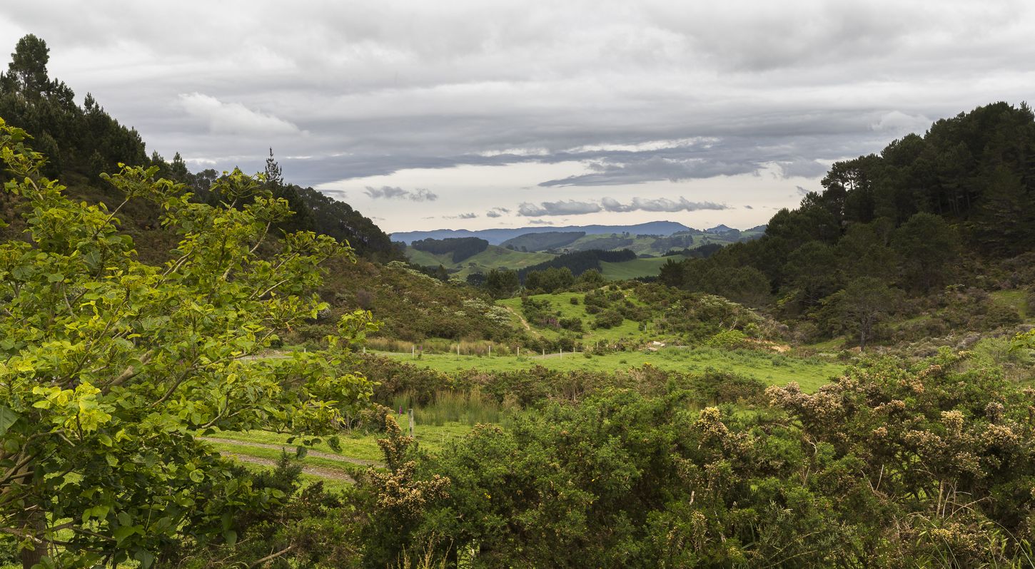 hotel et hébergement péninsule du coromandel choisir son hébergement au coromandel