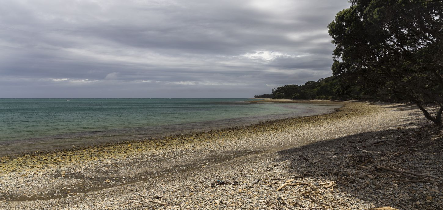 plages au coromandel déouverte du coromandel