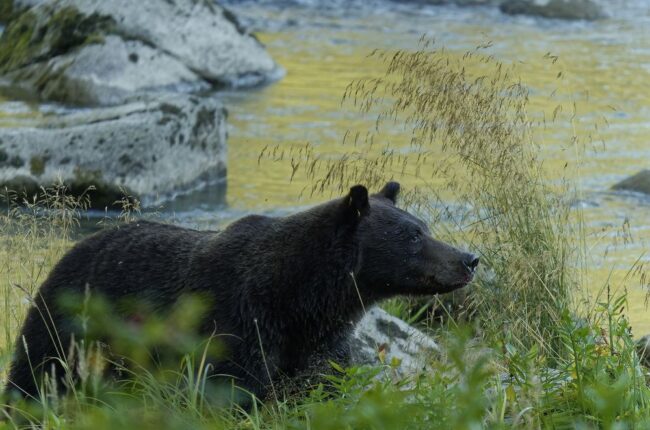 haines entdecken