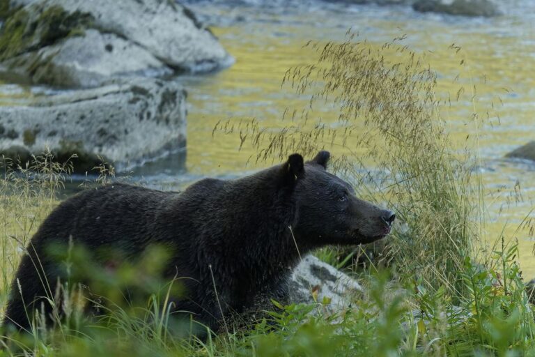 que faire à haines découvrir haines