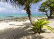 loger à huahine